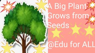 Seed Germination Edu for ALL 18 September 2024 [upl. by Ahsilem]