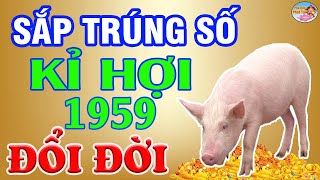 Tuổi KỈ HỢI 1959 Lén Làm Điều Này Bất Ngờ Nhận Lộc Trời Ban Giàu Như Vũ Bão  PQPT [upl. by Rehpotisrhc]