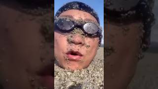 Pumice Stones Fake Land  Amazing Facts [upl. by Eiduj]