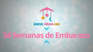 Bebé  34 Semanas de Embarazo  Signos y síntomas del embarazo [upl. by Rexanna]