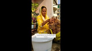 Self Watering Plant Hacks4 Methods2से3 दिन पानी नहीं देना पड़ेगा पोधो मेashasgardenstoryshorts [upl. by Lahcear678]