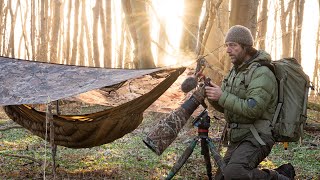 BADGERS  Photographing a Unique Moment  bts low light focus and high iso wildlife photography [upl. by Arbuckle]