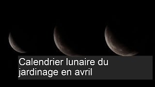 Calendrier lunaire du jardinage avril [upl. by Goddard]