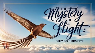 THE MYSTERY OF FLIGHT WHY DO BIRDS FLY [upl. by Ainitsirc]