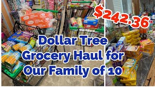 MY FiRST DOLLAR TREE GROCERY HAUL for Our Family of 10 [upl. by Uund]