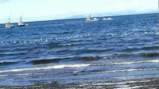 Herring Fishing Vancouver Island 2013 [upl. by Constantin275]