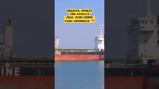 MALACCA STRAIT MASUK ALUR SEMARANGshortsyoutubeshortscargoshipmanuverolahgerakkapal [upl. by Abbub]