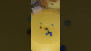 🐢🟢⚪️ Marble Run Motion  HABA  Big Speed Circle Chrom  Habee  Funnel oddlysatisfying ASMR 🦄🟡🔴 [upl. by Nelyk]