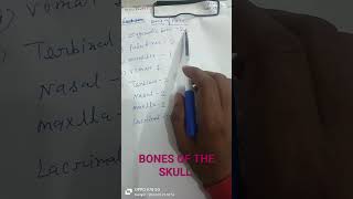 BONE OF SKULL AND TYPES OF SUTURE BONE OF SKULL ANATOMY BONE SKULL IN HINDI NAME OF FACIAL BONE AND [upl. by Toole]