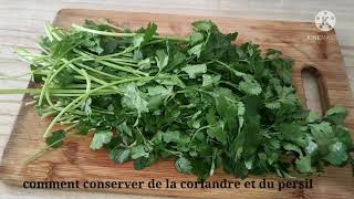 conservation la coriandre fraîche fini le congélateur conservationcoriandrestoring coriander [upl. by Venditti]