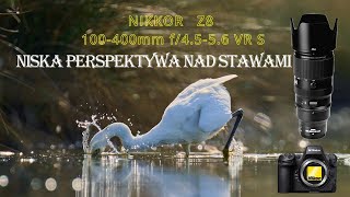 Niska Perspektywa  fotografia przyrodnicza  nikon wildlife [upl. by Brietta]