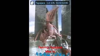 Taming Tapejara Max lv Ark mobile arksurvivalevolved dndinhgaming [upl. by Beale]