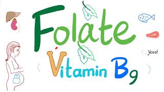 Vitamin B9 Folate 🥬  Folic  Structure Function Folate Deficiency Anemia Diagnosis amp Treatment [upl. by Foster]