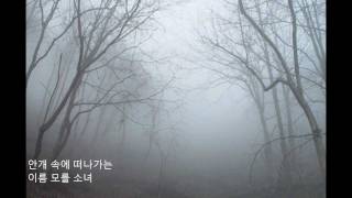 김정호  이름모를소녀wmv [upl. by Eiddal]