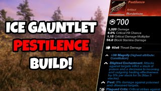 New World Ice GauntletBlunderbuss Build [upl. by Miles]