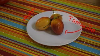 Tasting Tamarillo Tree Tomato  fruit that rich of potassium and vitamin C [upl. by Eciened]