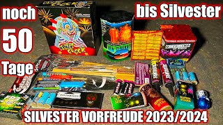 SILVESTER VORFREUDE 20232024 6 nur noch 50 Tage bis Silvester  KRAZY CLOCK amp SCREAM 🤩😱🎆 [upl. by Liesa]