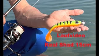 MIKATECH Real Shad 15cm Laufvideo Hecht Gummifisch Softbait handmade in Deutschland [upl. by Ressay]