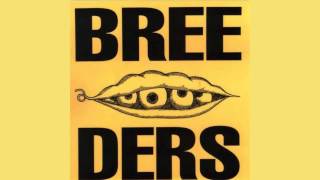 The Breeders  Silver Pod Demo 1988 [upl. by Midis]