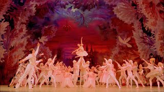 4K HDR  ЩЕЛКУНЧИК балет Мариинский театр  Tchaikovsky  The Nutcracker [upl. by Nosirrah]