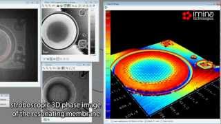 Imina Technologies Dynamic Characterization of a MEMS Resonator [upl. by Elleret]