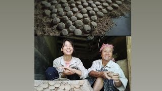 Making Yeast for local wine  With Tilling Mummy  Apatani Tribe  Ziro  Arunachal Pradesh [upl. by Drofnats]