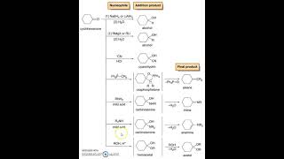 Reactions of Cyclohexanone [upl. by Desirae]