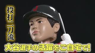 大谷翔平2023 WBC公式日本代表バブルヘッド人形 特製フレーム2体セット！ [upl. by Annwahs]