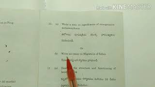 ZOOLOGY BSCDEGREE 1 ST YEAR 2 ND SEMESTER MODEL PAPER TELUGU ENGLISH MEDIUM [upl. by Laamaj]