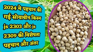 Soybean new variety 2024  Soybean new variety js 2303 aur js 2309 ki jankari [upl. by Oxley]