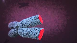 Telomere animation [upl. by Jovitta]