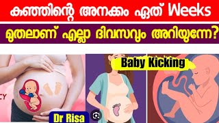 Baby Movement During Pregnancy Malayalam  Which Weeks Fetal Kick Start [upl. by Ativad]