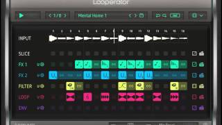 Complex Looperator [upl. by Nhtanhoj]