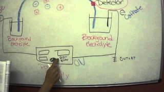 Capillary Electrophoresis [upl. by Drus]