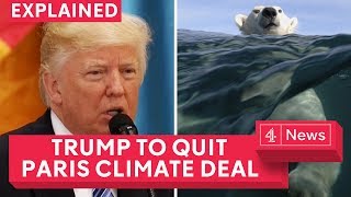 Does Trump pulling out of Paris climate deal matter explained [upl. by Nilats35]