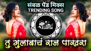 तु गुलाबाचं रान पाखरा Dj Song  Tu Gulabach Ran Pakhra Dj Song  Sambal Pad Mix  संबळ पॅड मीक्स💫 [upl. by Elfie]