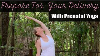 Prenatal Yoga to Prepare for Delivery Build Strength and Endurance in this 20 Minute Yoga Flow [upl. by Recha]