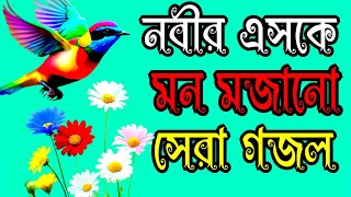 নবীর এশকে মন মজানো সেরা গজল Navir SK man majano Sera gojol [upl. by Alysia]