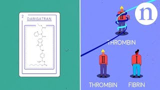 Thrombosis anticoagulants and the clotting cascade [upl. by Eihcra]