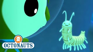 Octonauts  The Remipedes  Full Episode 13  OctonautsandFriends [upl. by Collayer]