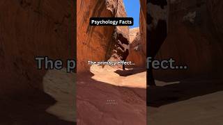 Primacy Effect shorts psychologyfacts subscribe [upl. by Liebman]