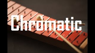 Xylophone Chromatic Scale [upl. by Revolc]