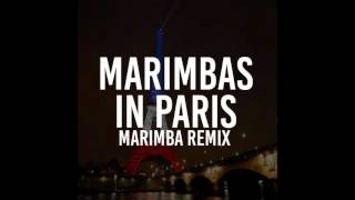 Marimbas in Paris Marimba Remix of Jay Z amp Kanye West [upl. by Yatzeck]