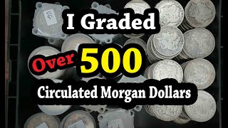 Coin Dealer Grades 500 Circulated Morgan Dollars [upl. by Ethyl]