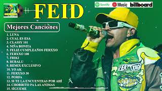 Feid Mix Exitos 2024  LAS MEJORES CANCIONES DE FEID [upl. by Scevour189]