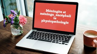 Méningite et méningoencéphalite  physiopathologie [upl. by Favian]