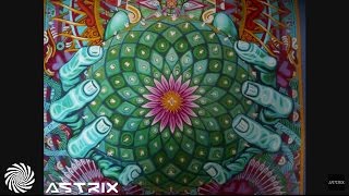 1200 Micrograms  Mescaline Astrix Remix [upl. by Arel]