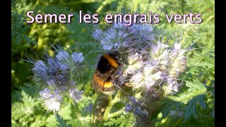 Semer les engrais verts  Les 4 Saisons du jardin bio [upl. by Airat]