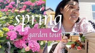 Spring Garden Tour gardening and backyard tour homemade lemonade and baking blueberry muffins [upl. by Gross625]