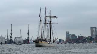 Segelschiff MARE FRISIUM Landungsbrücken Hamburg Hafengeburtstag 2023 [upl. by Joannes799]